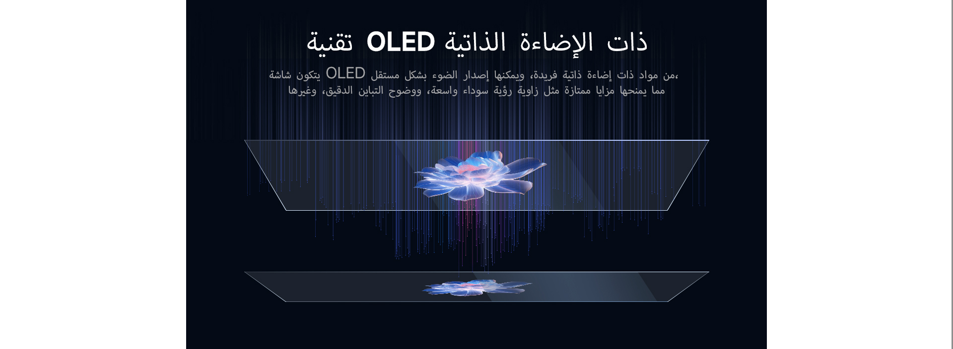 OLED (5).jpg