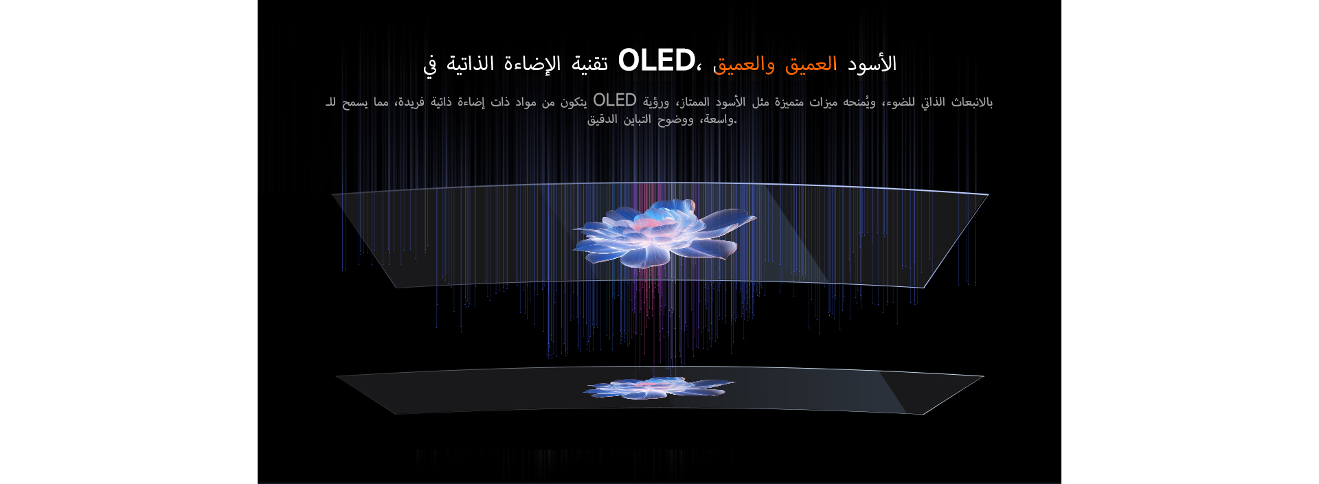 Flexible OLED (5).jpg